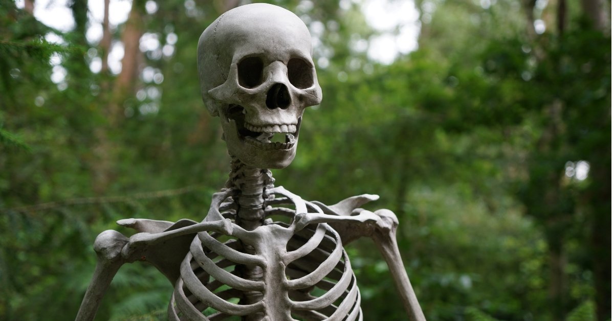 How does estrogen protect bones? - Vegelia - Sunrider products for a healthy lifestyle