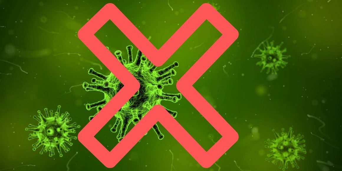 Sunrider Immune System Boosting Plant Based Products | Vegelia - Sunrider products for a healthy lifestyle